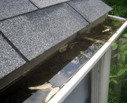 Gutter Cleaning Service